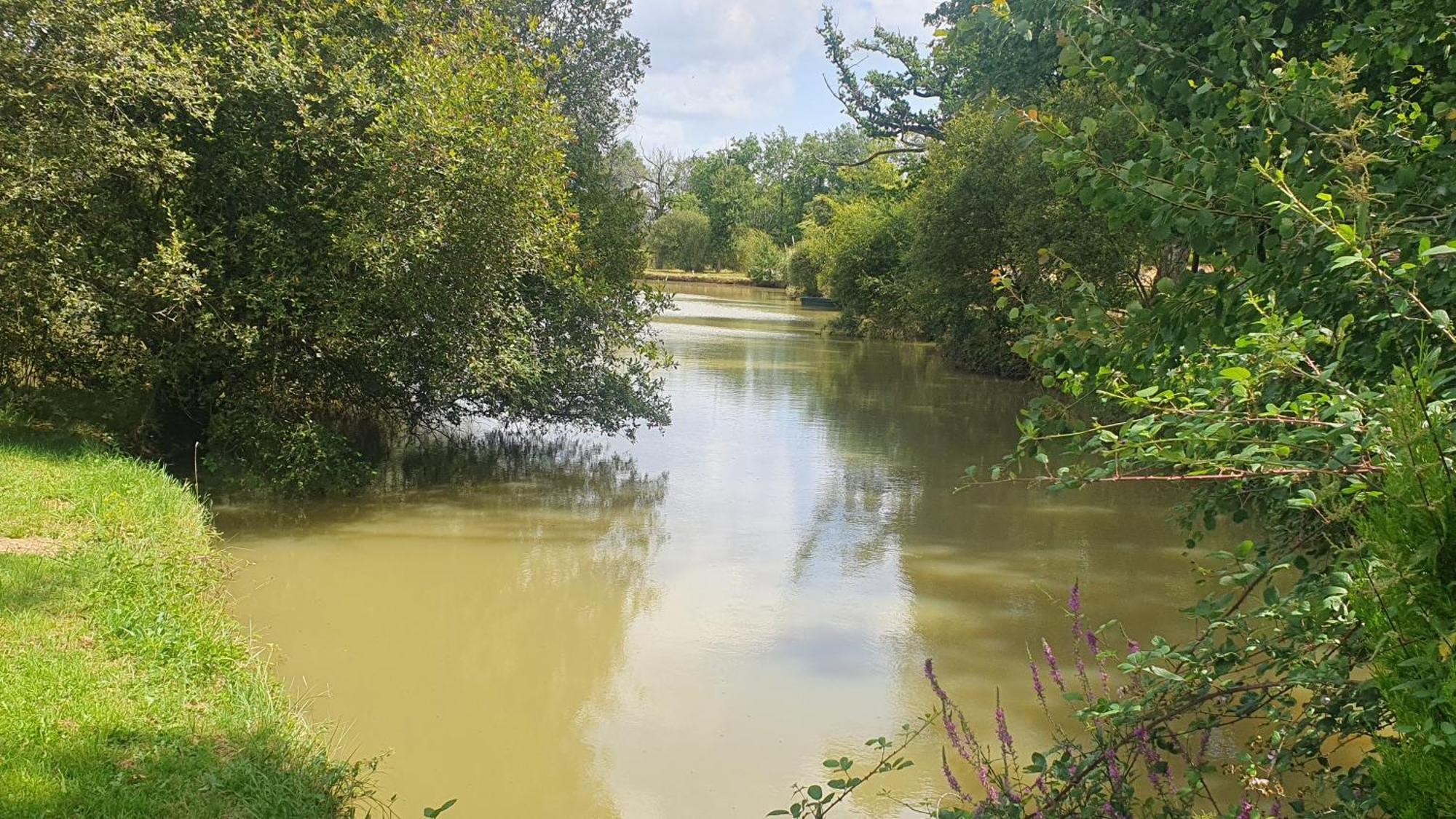 Domaine De La Tuillerie Villa Chaillac Kültér fotó